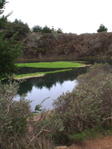 A Super-green pond 1
