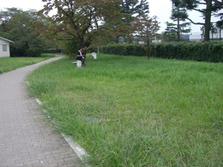 Sayama Dam Park 8