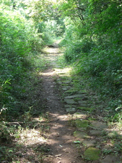Hachikuniyamaryokuchi Path