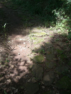 Hachijkuniyamaryokuchi Path in Sun